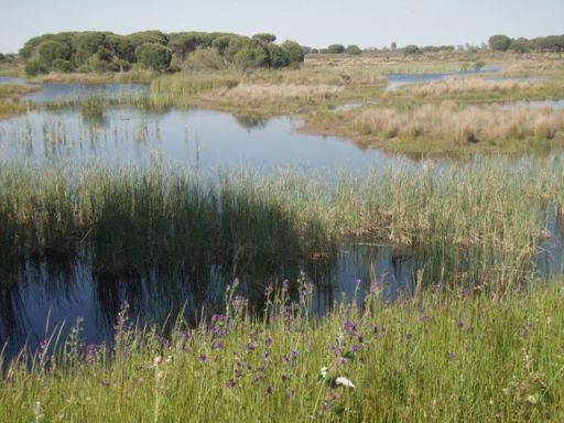 andalousie olympus 222 - Copie
