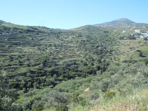 Les environs de Lefkes