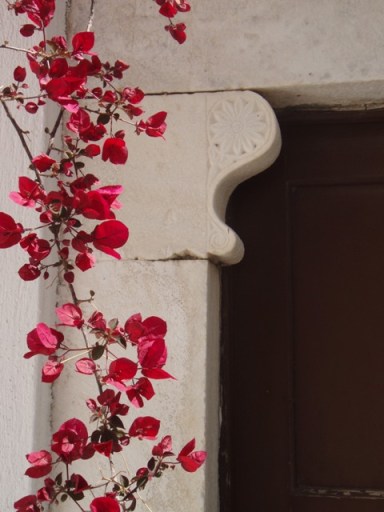 Bougainvillée et chapiteau