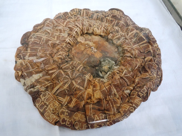 juin 20140servon 049 - Copie