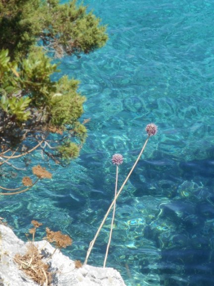 sardaigne mp 067 - Copie