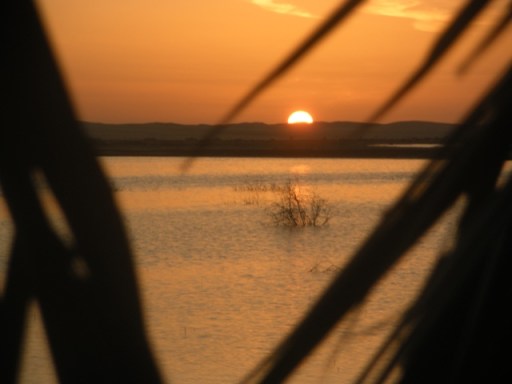 coucher de soleil à Siwa