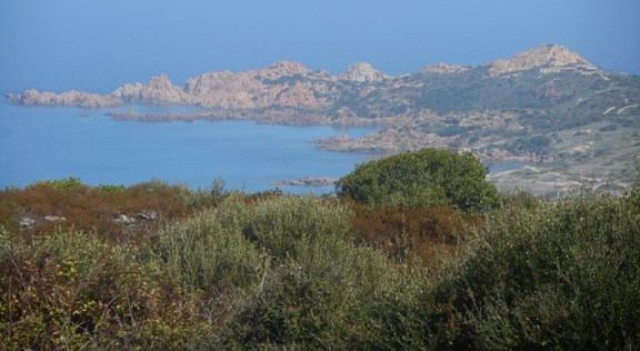 Isola Rossa