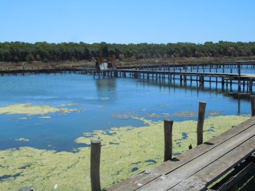 sardaigne 153 - Copie