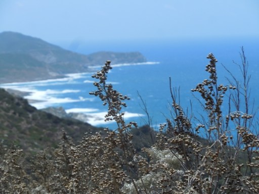 sentier côtier près de Pedraia