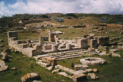 Melophoros