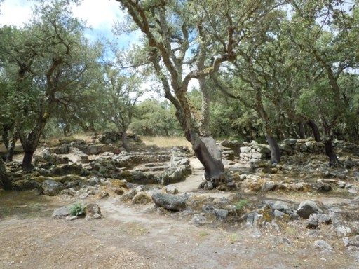Chênes-lièges près de Bitti