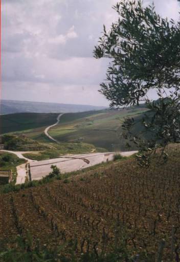 la dalle recouvrant le site de Gibellina