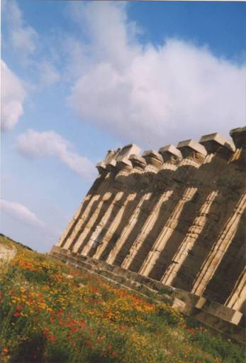 le temple E et les fleurs
