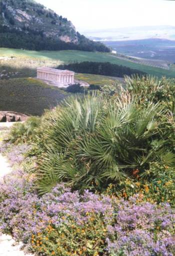 Temple de Segeste
