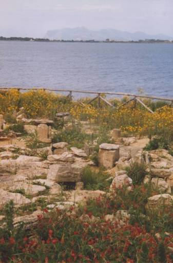 la ville phénicienne