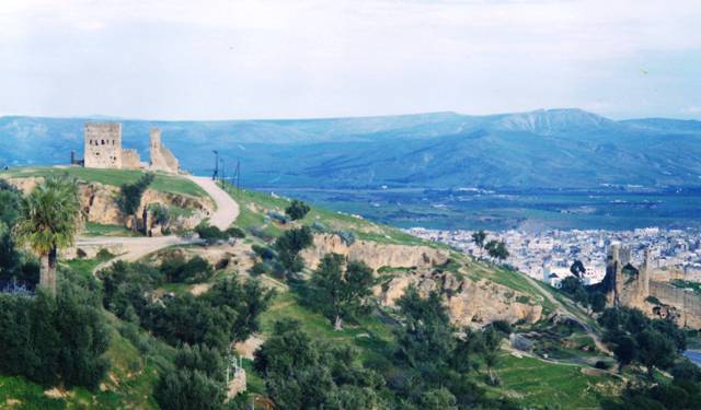 Fès et tombeaux mérinides