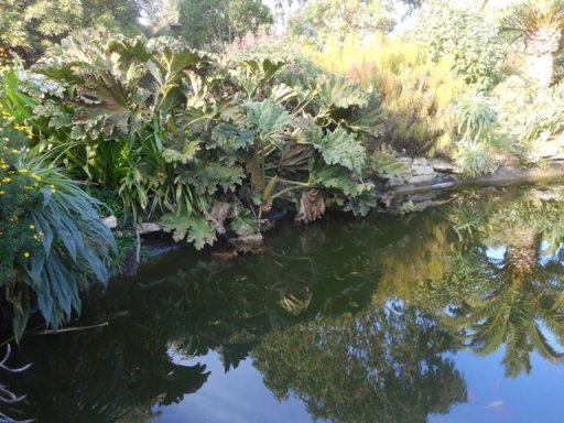 jardin exotique de Roscoff