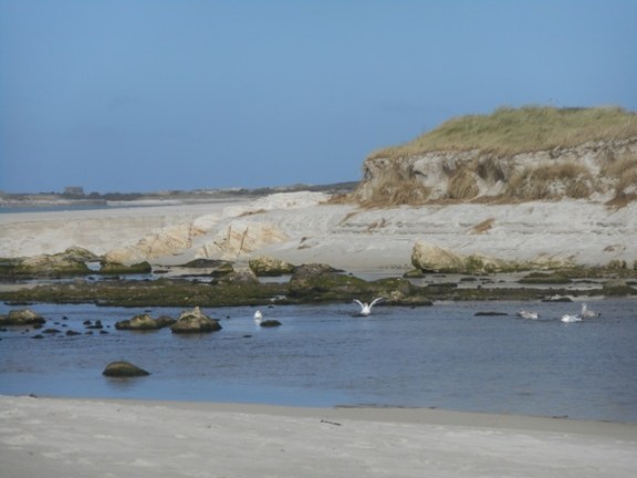 pique-nique à Kerbrat