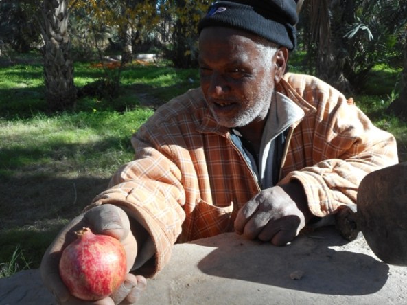 la grenade et le monsieur