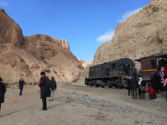 Le Lézard rouge fait halte dans un canyon