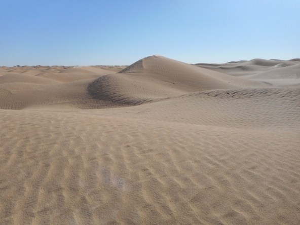 les dunes