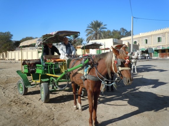 la calèche, Sabrina la jument et les touristes!
