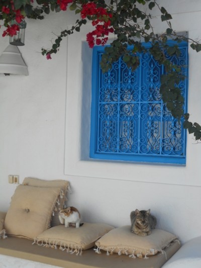 Petit matin à Dar Zina