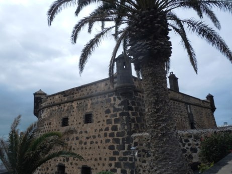 canaries2015dt 037 - Copie