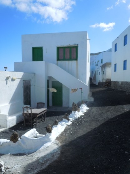 canaries2015dt 004 - Copie