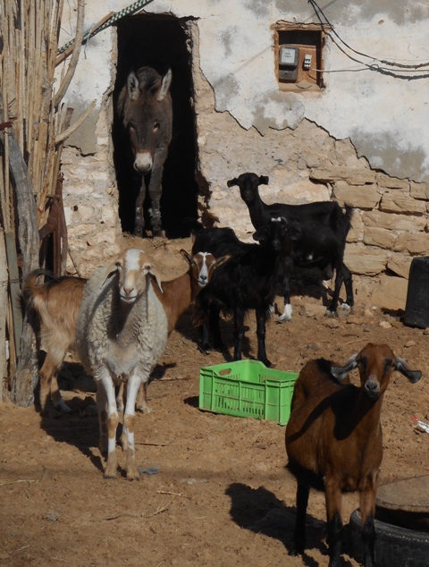 DSCN1328 - Copie (2)