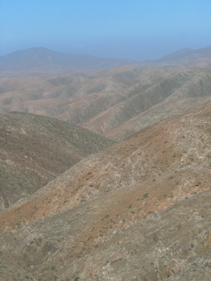 canaries2015dt 158 - Copie