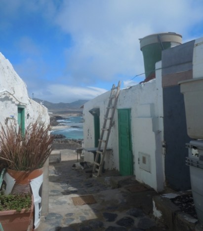 canaries2015dt 114 - Copie