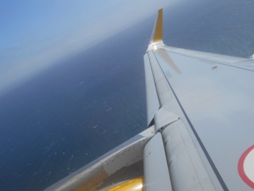 canaries 2015mp 106 - Copie