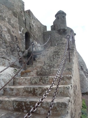 canaries2015dt 051 - Copie