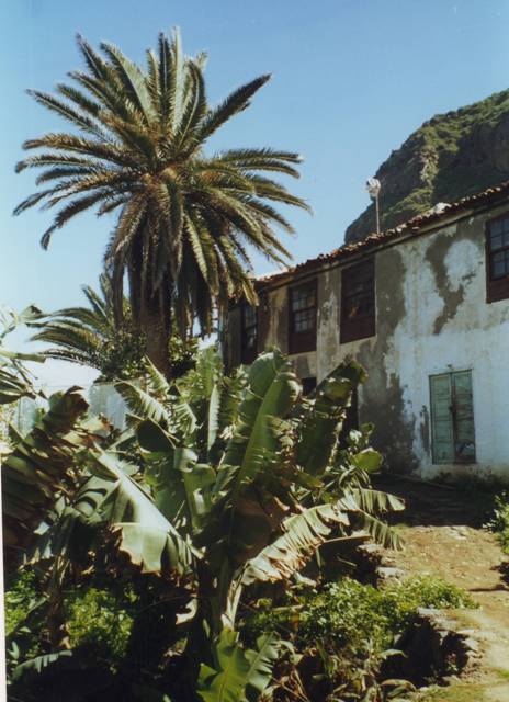 finca dans les bananiers et palmiers