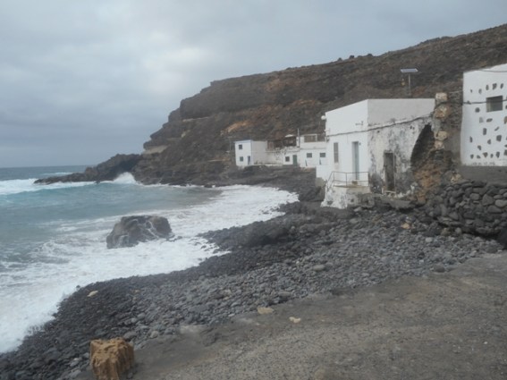 canaries 2015mp 030 - Copie