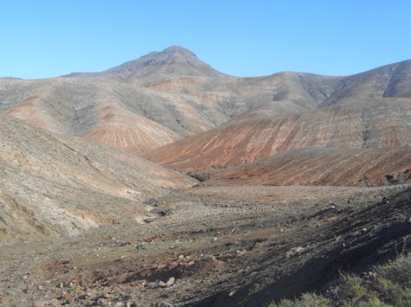 canaries 2015mp 079 - Copie