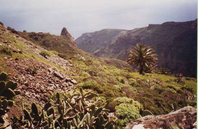 Un jardin de rocaille pour un pique-nique ensoleillé