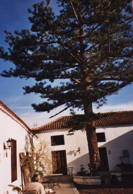 Petit dej dans le patio de la Finca Saroga