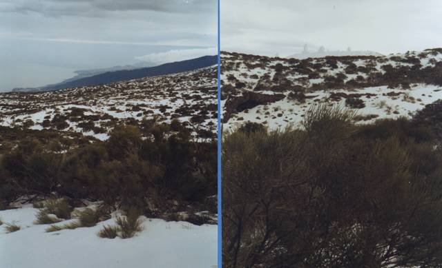 Le Teide sous la neige!