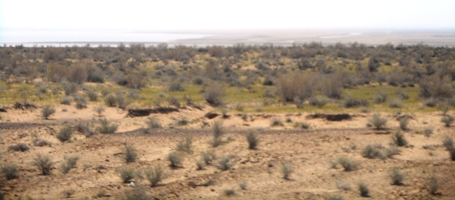 Désert ou steppe?  au fond l'Amou Daria