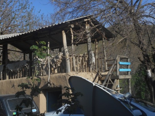 séchage des peaux de mouton