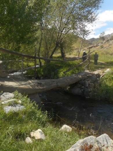 Pont sur le torrent de montagne