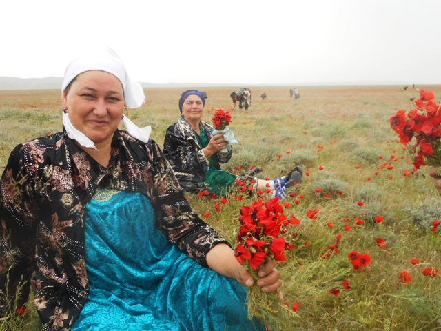 Les dames aux coquelicots : un moment de partage inoubliable!