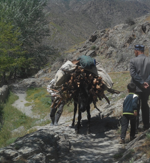 Rencontre avec un âne bien chargé
