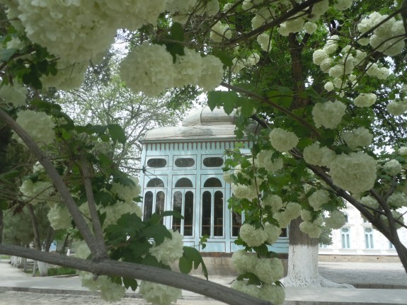 ouzbekistan dt 2015 185 - Copie