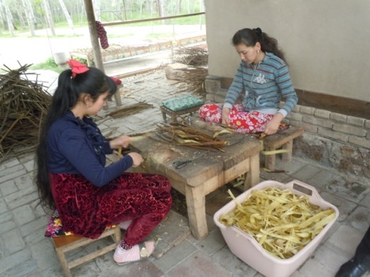 Épluchage des écorces de mûrier