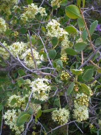 ouzbekistan mp2015 266 - Copie