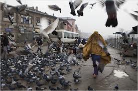 singué sabour burqa