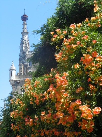 Buçaco bignonnia et sphère armiliaire