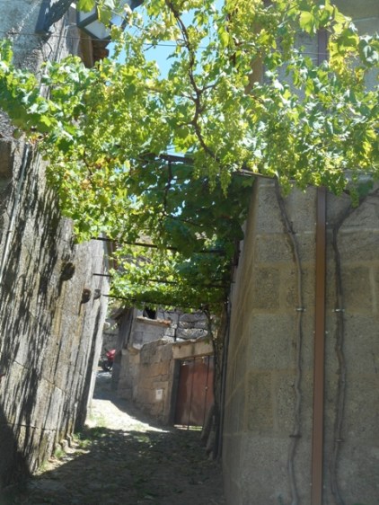 les rues pentues sous les tonnelles de Lindoso