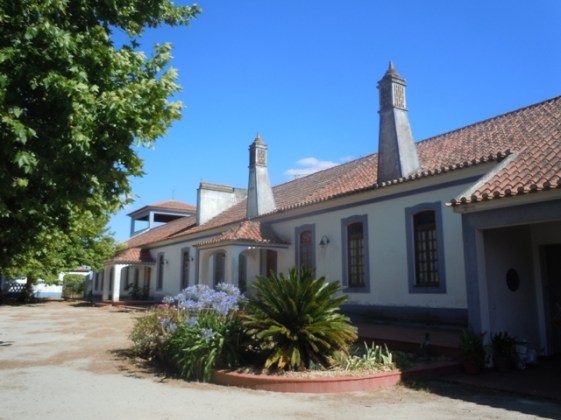 portugal2015dt 231 - Copie