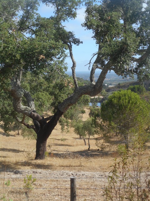 portugal mp1 277 - Copie