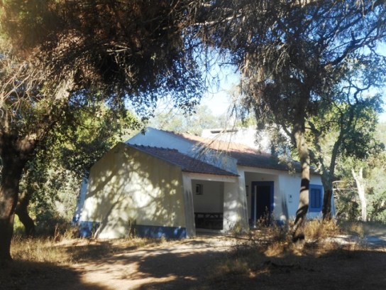 notre maison dans la forêt